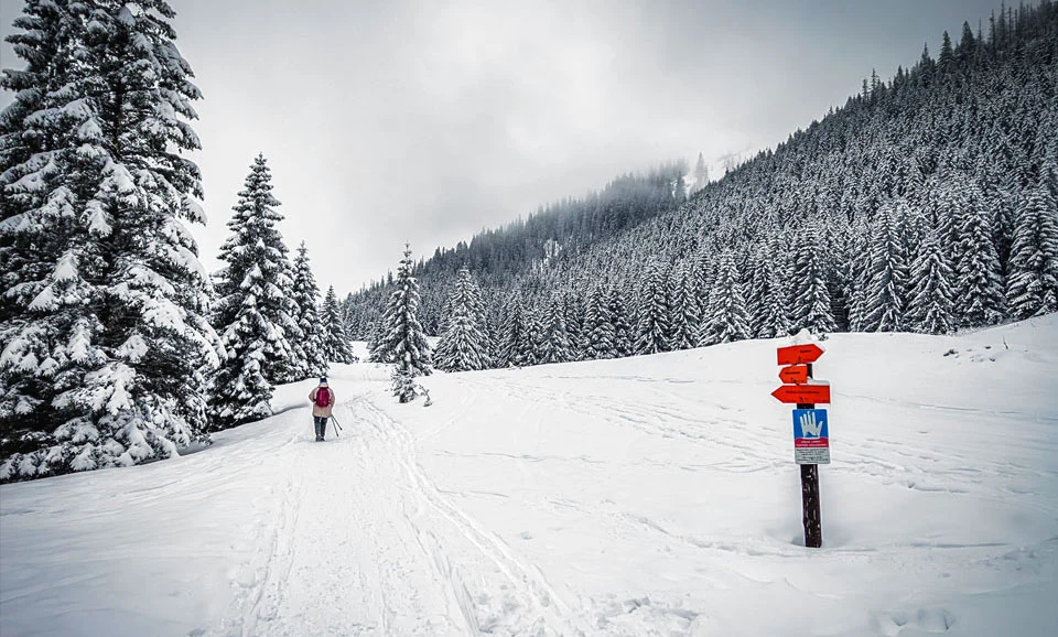 wycieczka z dziećmina Kalatówki Tatry Polskie